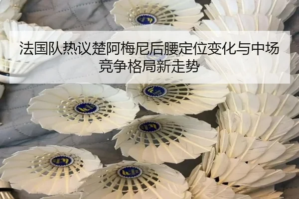 法国队热议楚阿梅尼后腰定位变化与中场竞争格局新走势